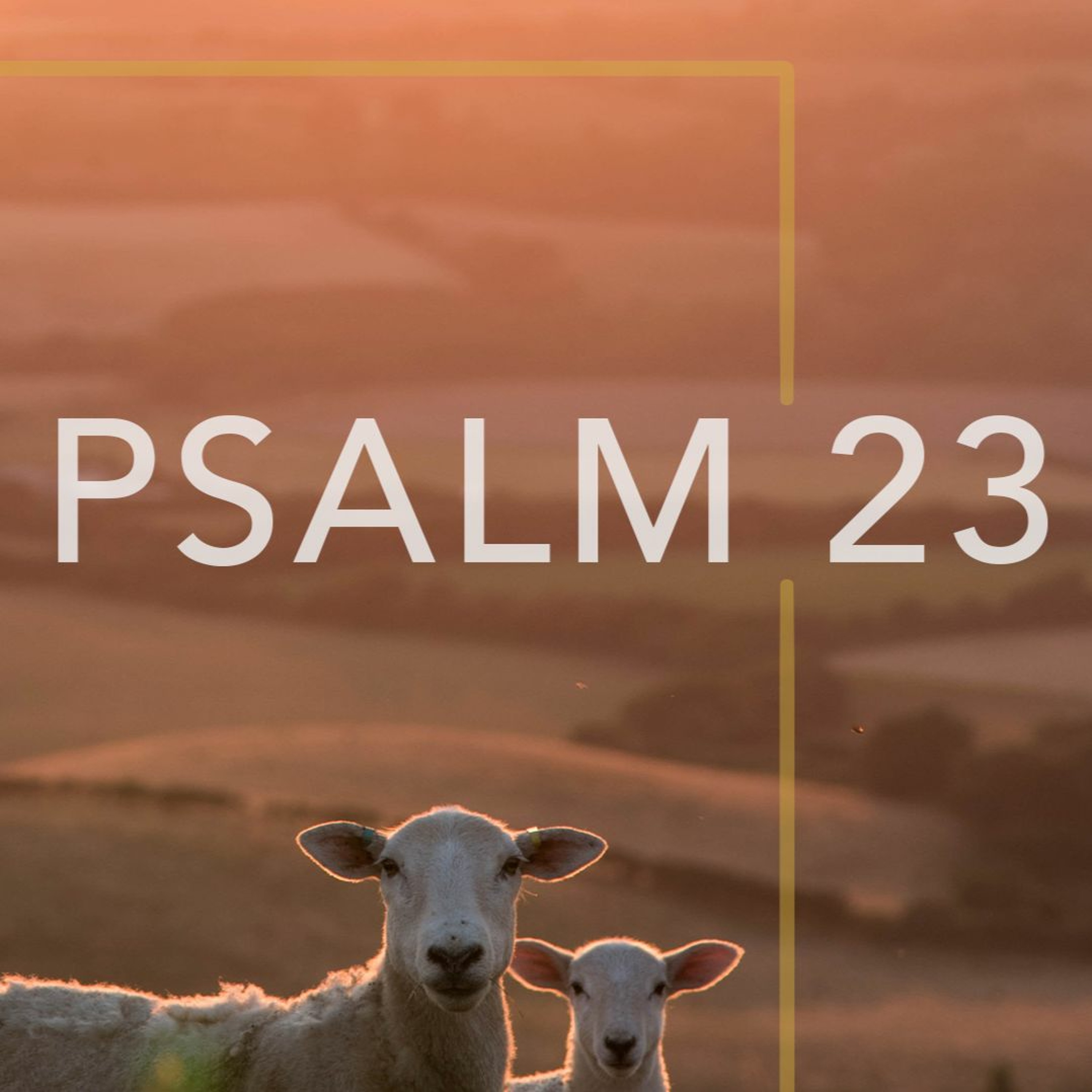 Kevin Aldridge | Psalm 23 | Part 2 | 29th January 2023 episode artwork