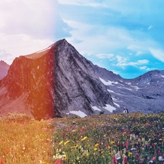 Field of Awakening