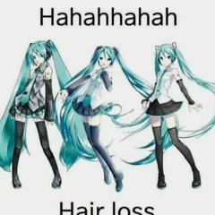 miku solid my beloved 😻