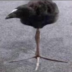 aur aur aur (whole milk(