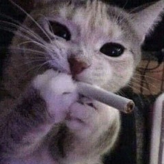 answering machine – ruby haunt