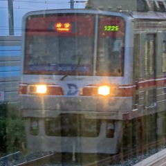 Shameimaru DTRO zone  inst