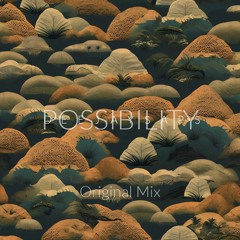 Possibility (Original Mix)