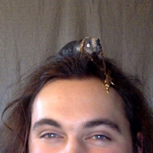 Quackers The Funky Badger