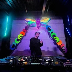 Camp Cicadia 2025 Fundraiser - Swarm Soiree