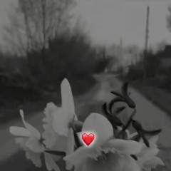 Мимо вен-нахуйтебяиэтулюбовь