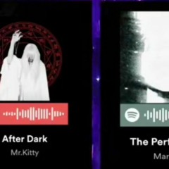 the perfect girl x after dark bass boosted slowed .mp3