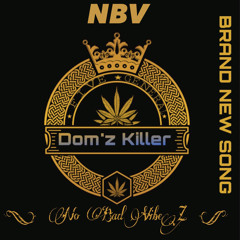 NBV-No Bad vibe’s
