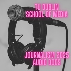 Journalism 2025 Audio Docs