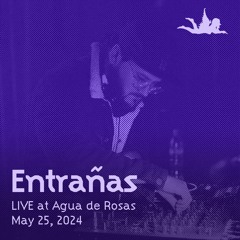 Entrañas LIVE at Agua de Rosas, Chicago | May 25, 2024