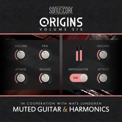 Binary Riddle (Christian Wirtz)- MUTED GUITAR & HARMONICS - Demo