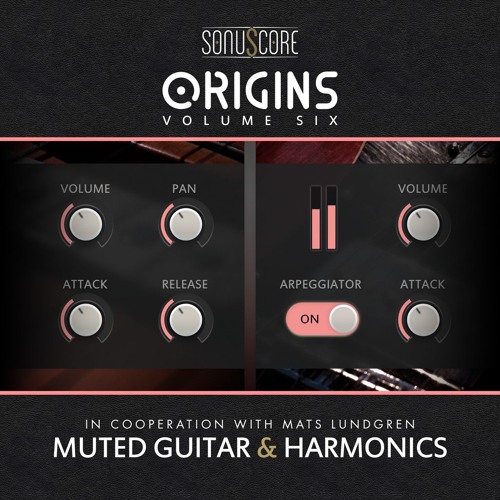 Binary Riddle (Christian Wirtz)- MUTED GUITAR & HARMONICS - Demo