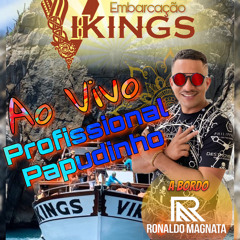 Profissional Papudinho