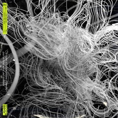 Druid - Cyber Time Crisis  (Grasps Remix)