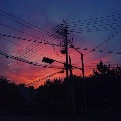 I Really Didn't Know(Demo.)