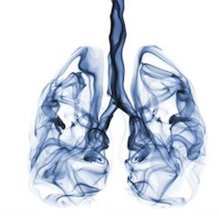 Smoke In My Lungs (JDUBx$kywxlker)