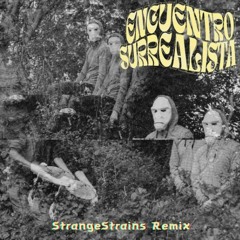 PREMIERE | Terror/Cactus - Encuentro Surrealista (StrangeStrains Remix) [Self-Release] 2024