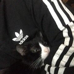 хотя бы на 5 минут (remix PORNOTERROR)