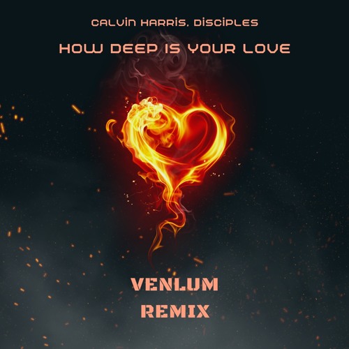 HOW DEEP IS YOUR LOVE- CALVIN HARRIS, DISCIPLES (VENLUM REMIX)
