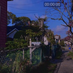 fdboy - かなしいい