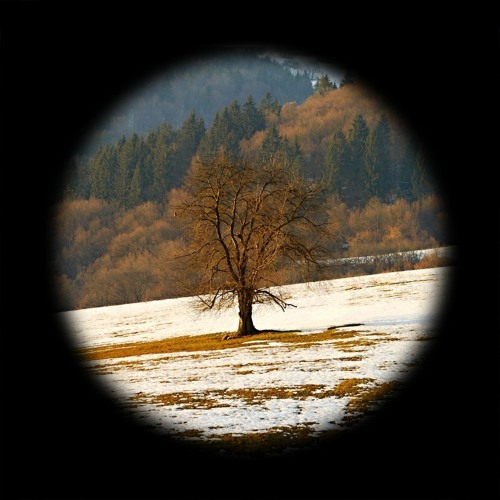 Subscription Mix - WINTER by Marius Bø