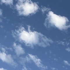 THE FLAWS OF CREATION (N°1)