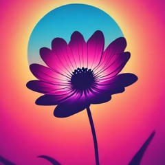 Vackrare än jag - Bärga feat Suno