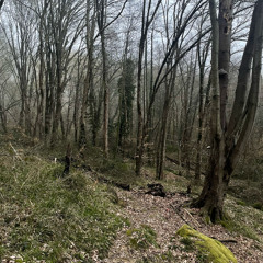 ты не найдешь ответ (prod. babydrugg)