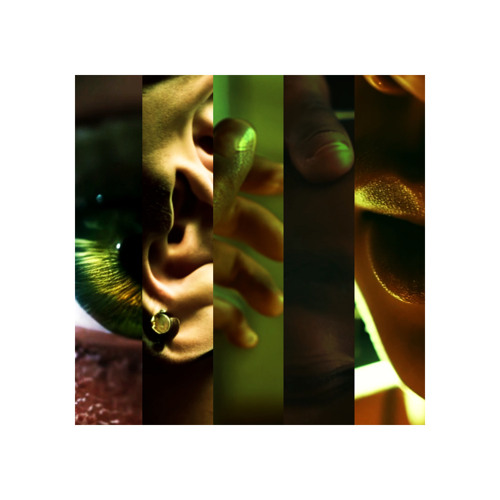Enigma