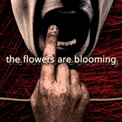 THE FLOWERS ARE BLOOMING