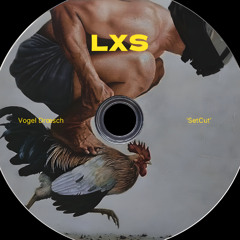 L|X|S @IntoxicationNYE25 (VogelDraesch I) 2025-01-01