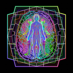 TriiPpy- I’ll teach you how to Love