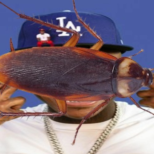 Stream yung cockroach - Bop (Unfinished/Cover) by komi! (@ripkomi ...