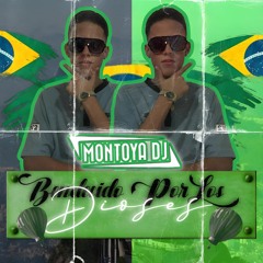 Copia de MONTOYA ll