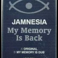 My Memory Is Back - Jamnesia