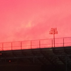 / / / / / t e c c i n d a o p p s s メンフィステネシー州 / / / / / { r a r e s h i t } ( ( 2 0 0 4 ) )