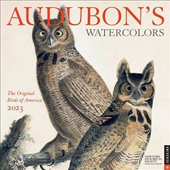 Get EBOOK 🗂️ Audubon's Watercolors 2023 Wall Calendar: The Original Birds of America