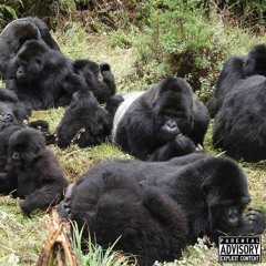 МАКУМБА ФРИСТАЙЛ