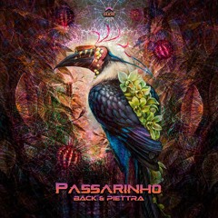 Back & Piettra - Passarinho - (Original Mix) @rudarecords