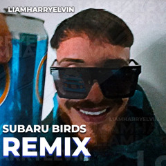 liamharryelvin - Subaru Birds Remix