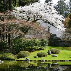 实修引导之三 : 信心之重要