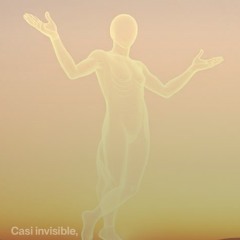 casi-invisible 2.