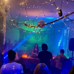 Revel DJ set (Psy mix 105-145 Bpm)