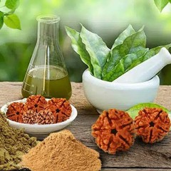 5 Scientific Health Benefits of Rudraksha
