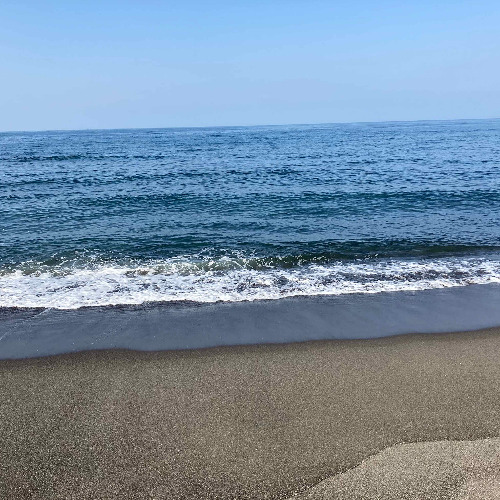 It Is a Joyful, Exciting Time