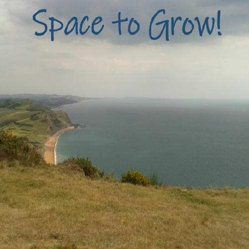 Space To Grow (Mills 1806-73)