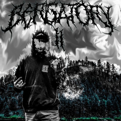 BERGATORY II