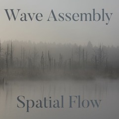 Spatial Flow