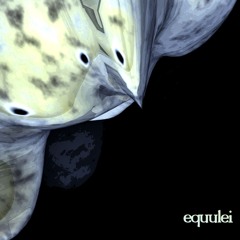 Election Year Politics