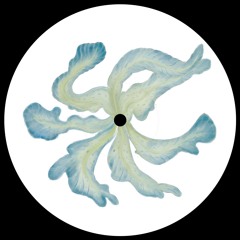Jacksonville - Ski Jacket 87 EP (CC05)
